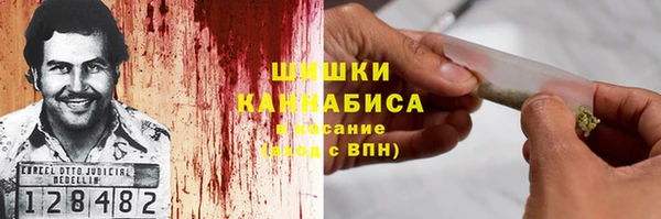 индика Богданович