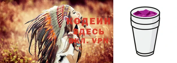 крисы Богородск