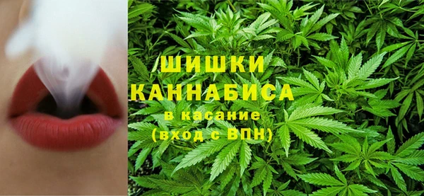 индика Богданович