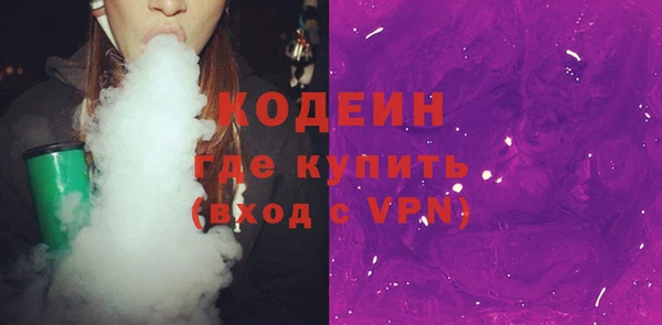 индика Богданович