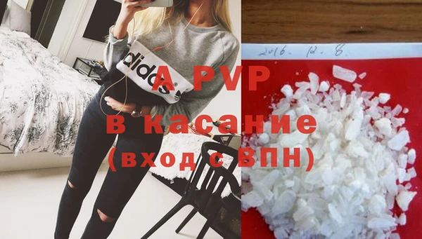 индика Богданович