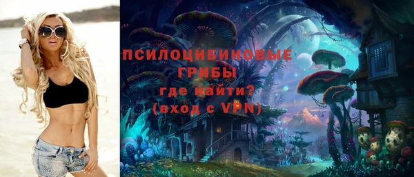 крисы Богородск