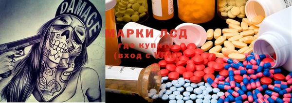 индика Богданович
