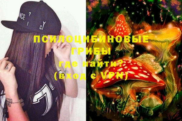 spice Бронницы