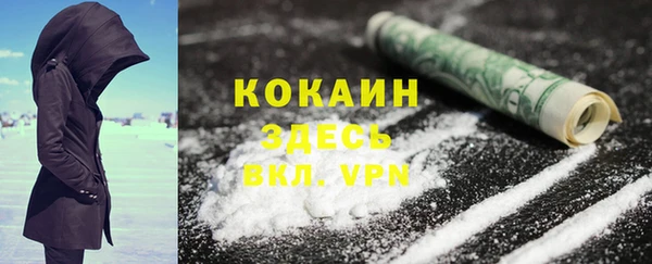 дурь Богородицк