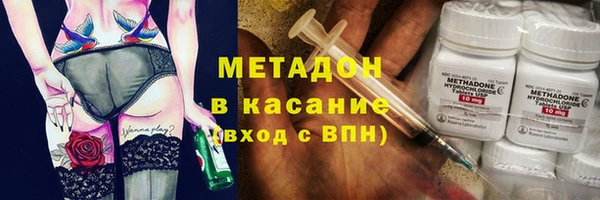 индика Богданович