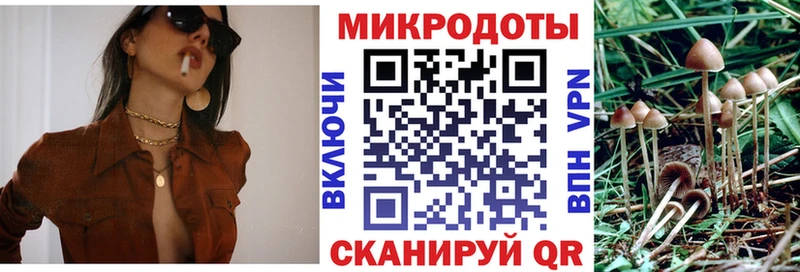 Псилоцибиновые грибы Psilocybine cubensis Качканар